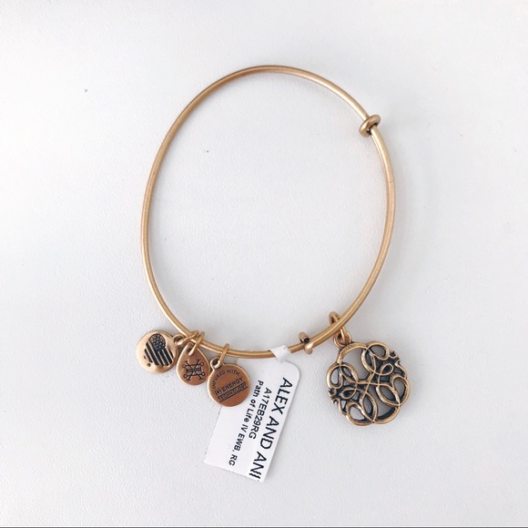 Alex + Ani Path of Life Charm Bracelet - Picture 3 of 4